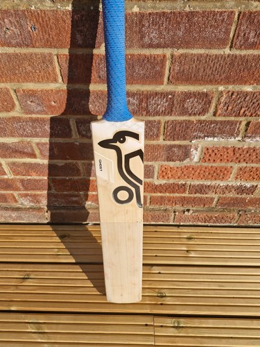 Cricket bat - cricket,