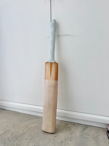 Funky cricket english - cricket, le