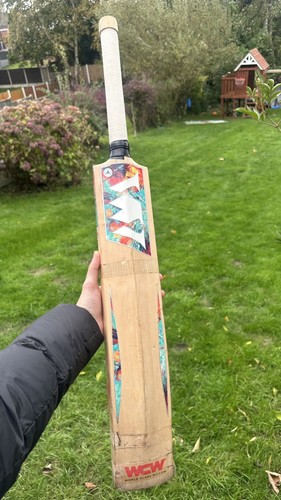 World class willow - ⁠world,