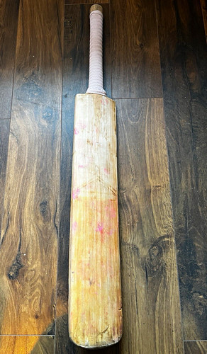 Ton grade willow cricket - willow,