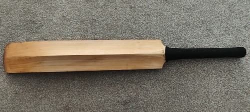 English willow cricket bat - willow,