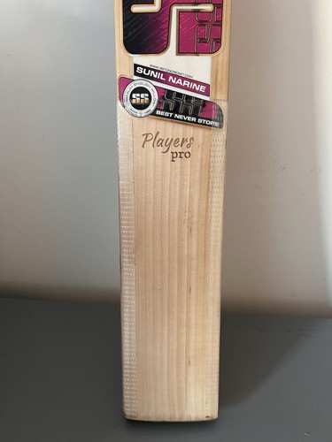 Ton players pro cricket - cricket, bat