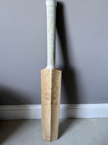 Youth english willow cricket