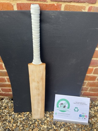 H4l english willow blank - g2,