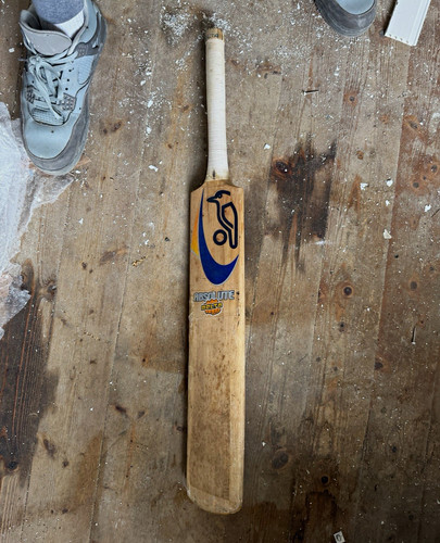 Kookaburra absolute belta - absolute,