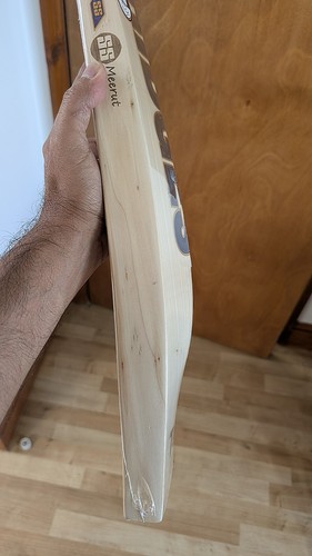 Pro vintage cricket bat - pro,