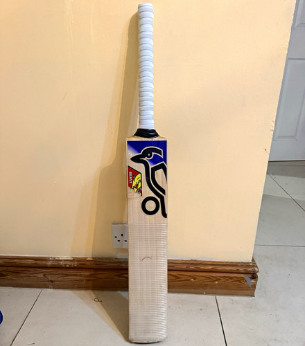 Kookaburra beast english - beast,