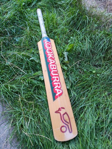 Kookaburra cricket bat kashmir - kookaburra,