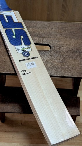 Absolute beast cricket bat - absolute,