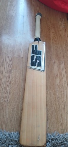Maximum impact cricket bat - sf,