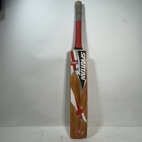 Spartan cricket bat - bat, matt