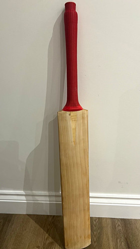 Short handle cricket bat - short,