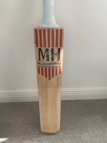 Men english willow - willow, cricket