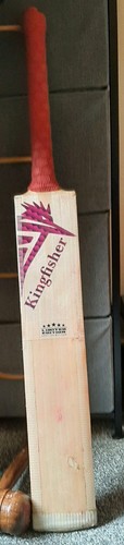 Cricket bat short handle - cricket,