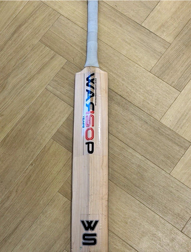Warsop platinum willow cricket - platinum,